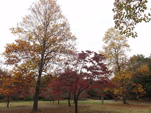 DSC09483 DSC09483