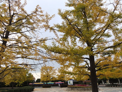DSC09544 DSC09544