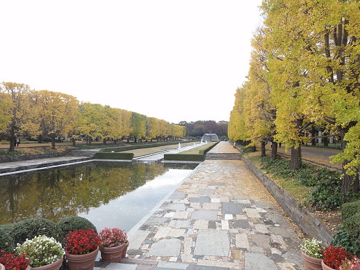 DSC09553 DSC09553