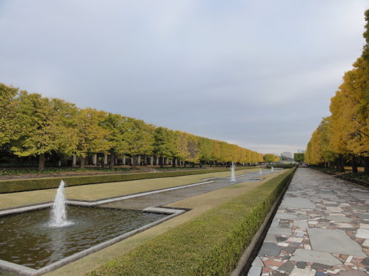 DSC09624 DSC09624
