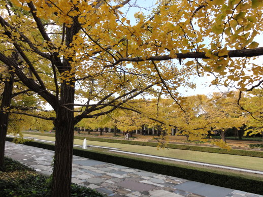 DSC09677 DSC09677