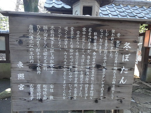 DSC00563 DSC00563