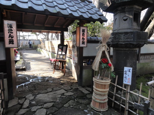 DSC00564 DSC00564