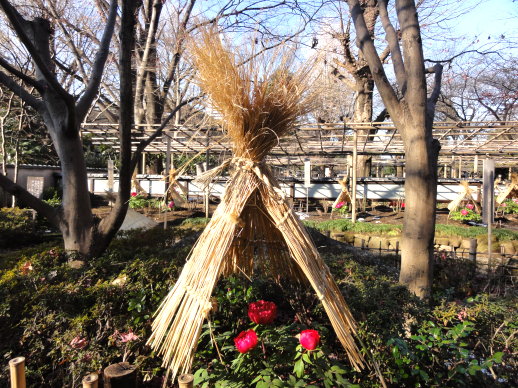 DSC00570 DSC00570