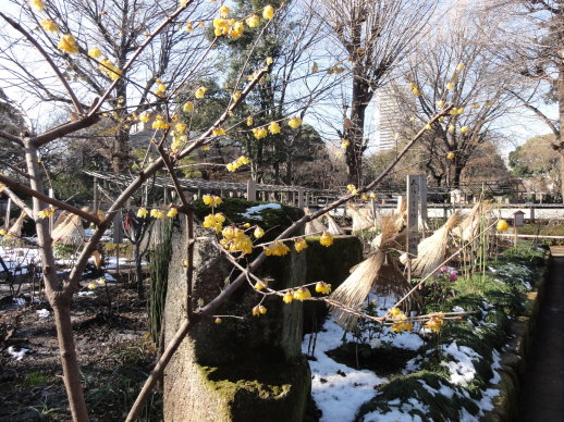 DSC00664 DSC00664