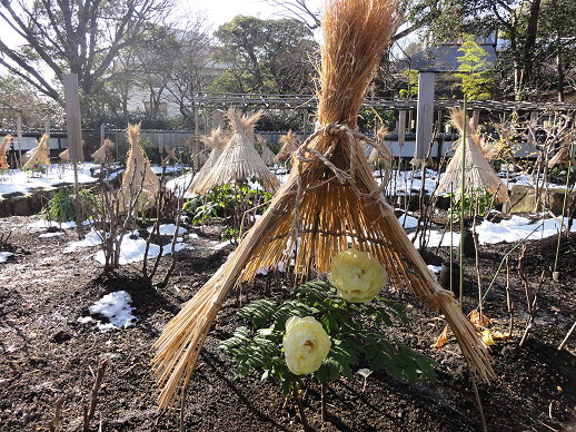 DSC00672 DSC00672