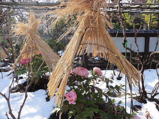 DSC00680 DSC00680