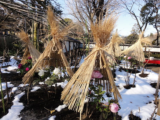 DSC00690 DSC00690