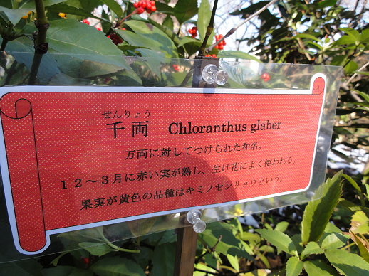 DSC00703 DSC00703