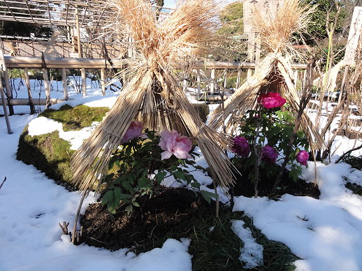 DSC00734 DSC00734