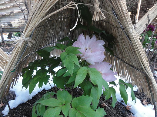 DSC00758 DSC00758