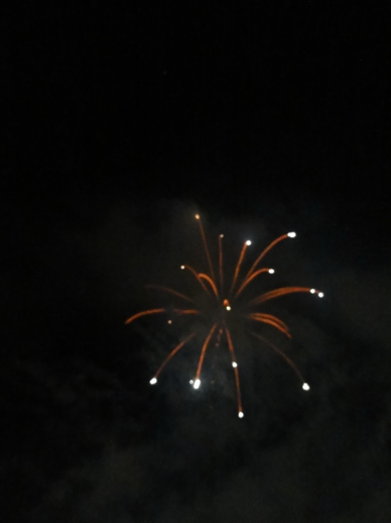 DSC05605 DSC05605