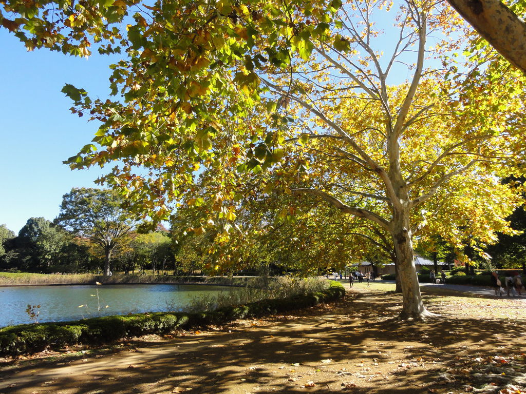 DSC04739 DSC04739