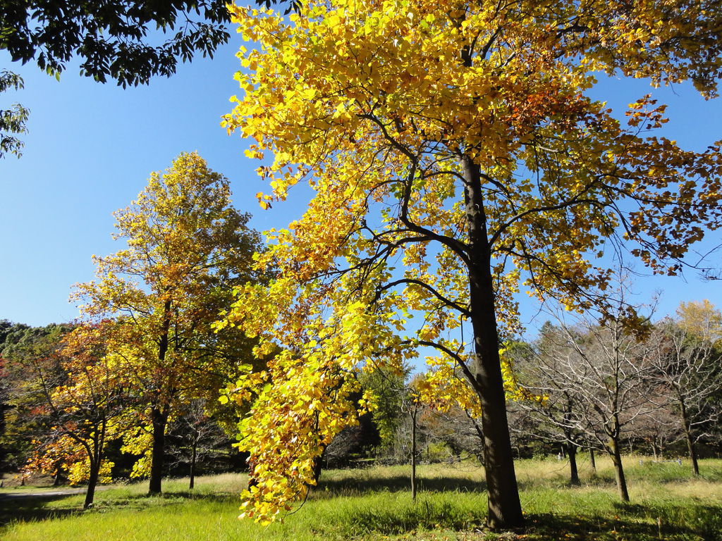 DSC04758 DSC04758