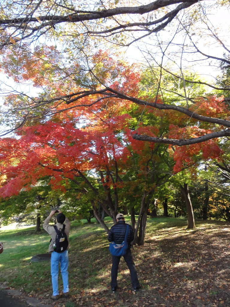 DSC04770 DSC04770