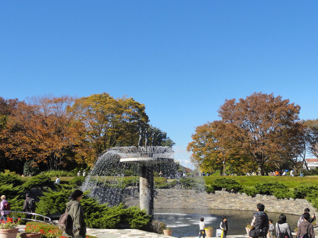 DSC04773 DSC04773