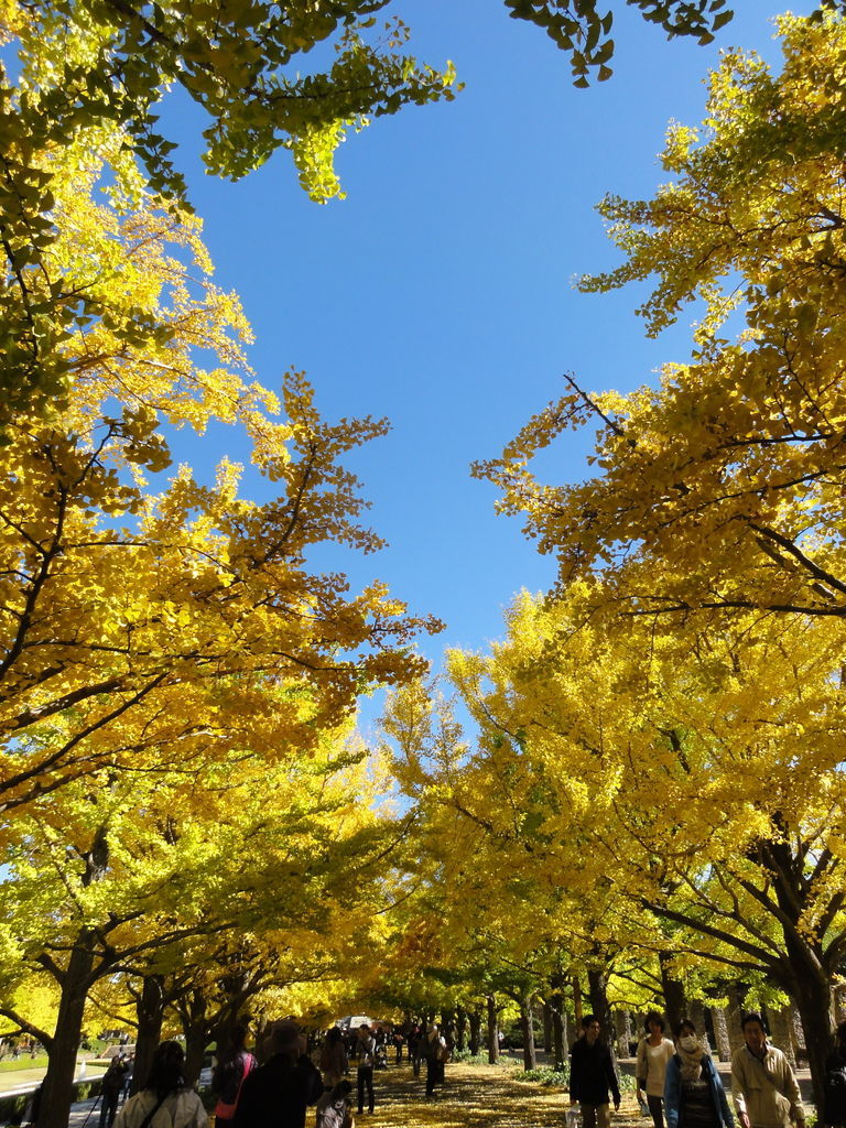 DSC04782 DSC04782