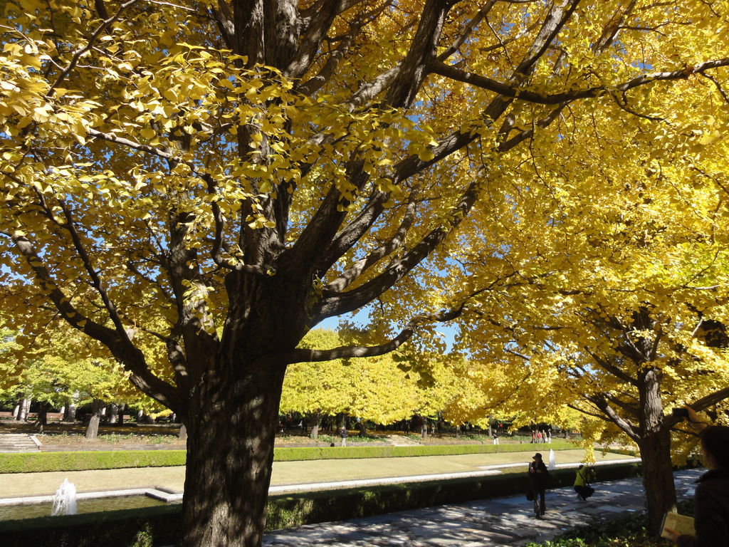 DSC04793 DSC04793