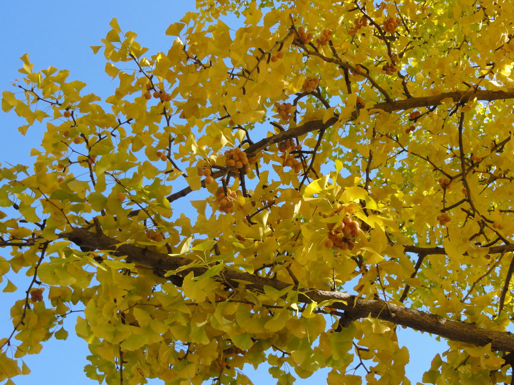 DSC04857 DSC04857