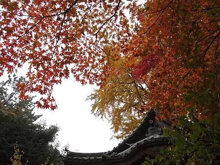 s三溪園11.JPG s三溪園11.JPG