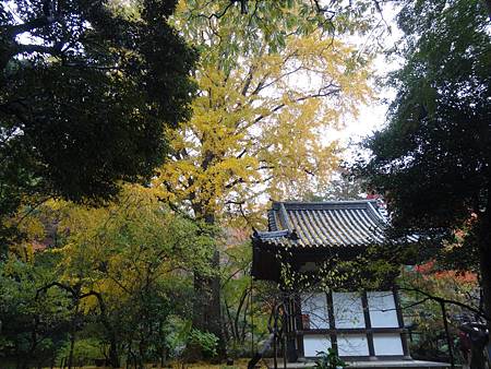 s三溪園12.JPG s三溪園12.JPG