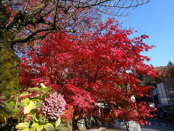 s高尾山32.JPG s高尾山32.JPG