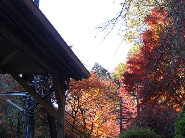 s高尾山40.JPG s高尾山40.JPG