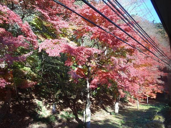 s高尾山43.JPG s高尾山43.JPG