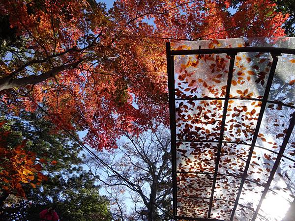 s高尾山46.JPG s高尾山46.JPG