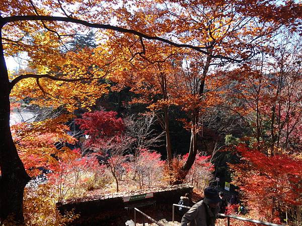 s高尾山49.JPG s高尾山49.JPG