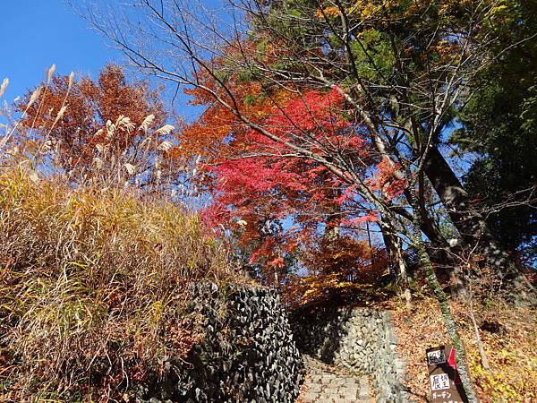 s高尾山52.JPG s高尾山52.JPG
