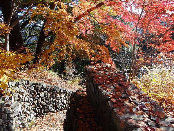 s高尾山51.JPG s高尾山51.JPG