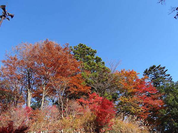 s高尾山57.JPG s高尾山57.JPG