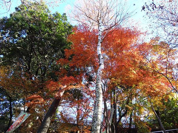 s高尾山61.JPG s高尾山61.JPG