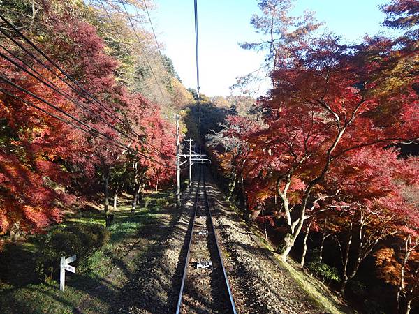s高尾山76.JPG s高尾山76.JPG