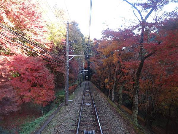 s高尾山79.JPG s高尾山79.JPG