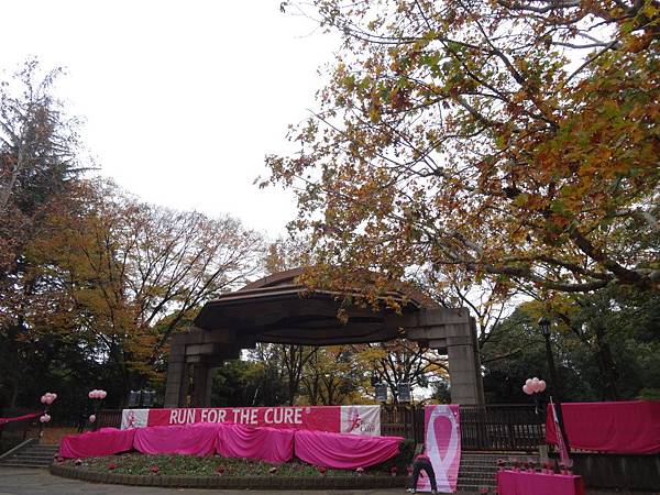 sDSC07149.JPG sDSC07149.JPG