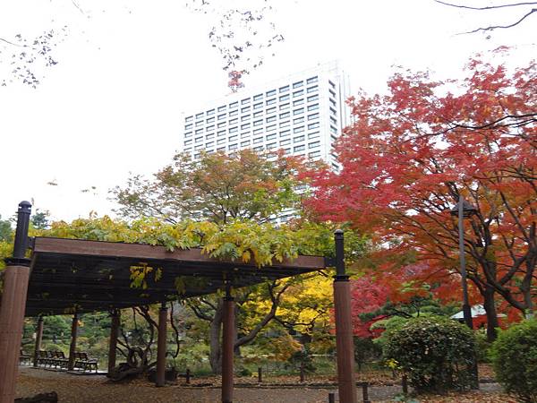 sDSC07180.JPG sDSC07180.JPG