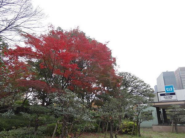 s日比谷公園 (3).JPG s日比谷公園 (3).JPG