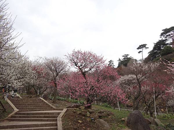 未命名 - 6.jpg 未命名 - 6.jpg