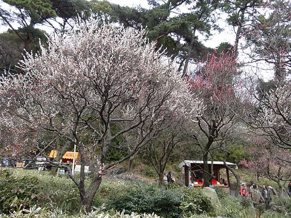 未命名 - 2.jpg 未命名 - 2.jpg
