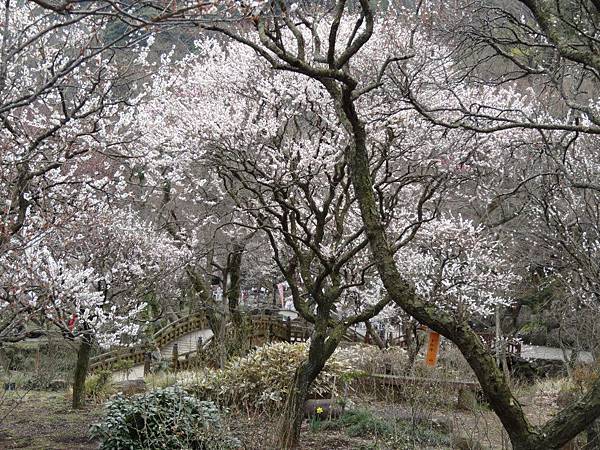未命名 - 11.jpg 未命名 - 11.jpg