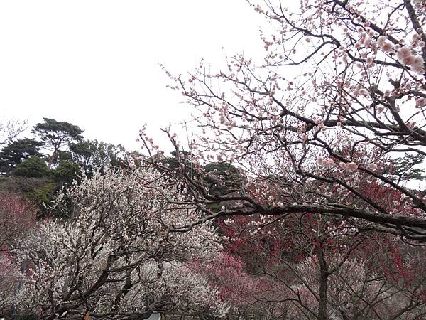 未命名 - 8.jpg 未命名 - 8.jpg