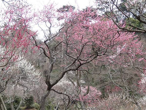 未命名 - 9.jpg 未命名 - 9.jpg