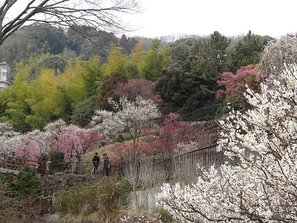 未命名 - 14.jpg 未命名 - 14.jpg