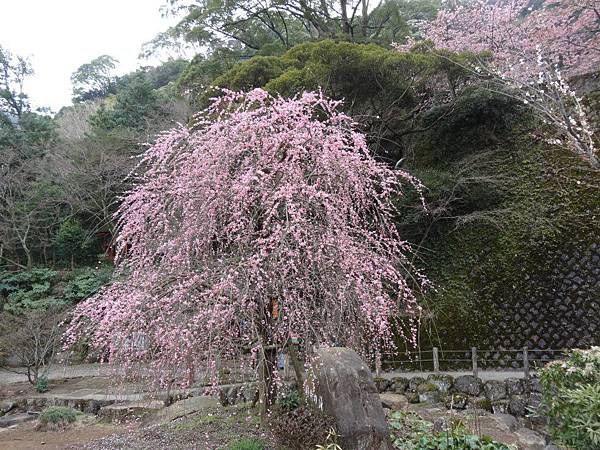 未命名 - 16.jpg 未命名 - 16.jpg