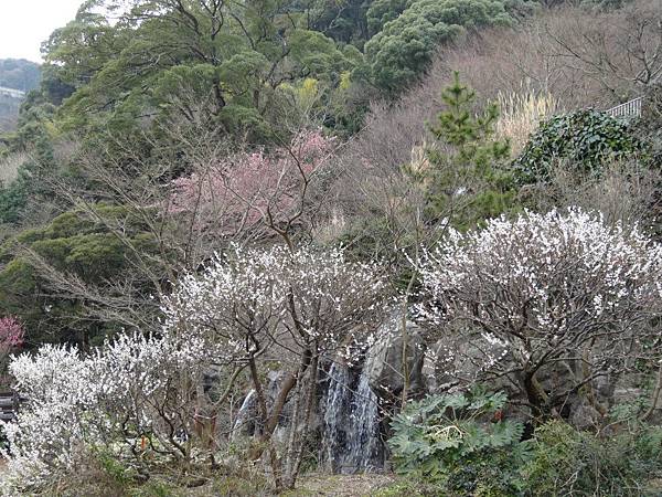 未命名 - 18.jpg 未命名 - 18.jpg