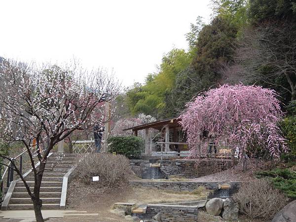 未命名 - 21.jpg 未命名 - 21.jpg