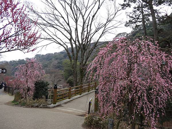 未命名 - 19.jpg 未命名 - 19.jpg
