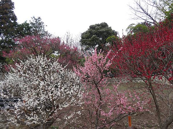 未命名 - 22.jpg 未命名 - 22.jpg